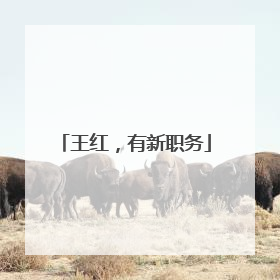 王红，有新职务