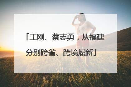 王刚、蔡志勇，从福建分别跨省、跨境履新