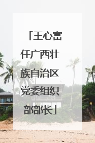 王心富任广西壮族自治区党委组织部部长