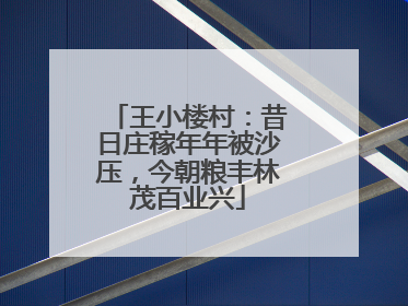 王小楼村：昔日庄稼年年被沙压，今朝粮丰林茂百业兴