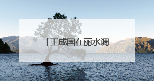 王成国在丽水调研时强调：以更高水平安全和法治环境服务保障山区海岛县高质量发展