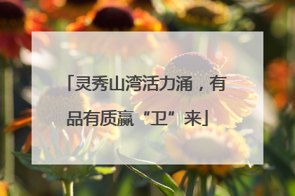 灵秀山湾活力涌，有品有质赢“卫”来