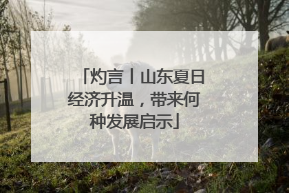 灼言丨山东夏日经济升温，带来何种发展启示