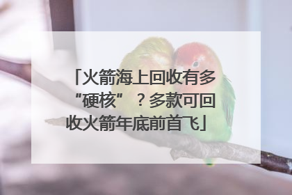 火箭海上回收有多“硬核”？多款可回收火箭年底前首飞
