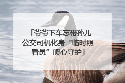 爷爷下车忘带孙儿 公交司机化身“临时照看员”暖心守护