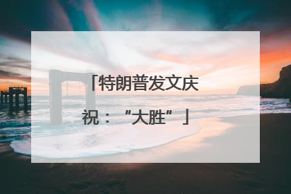 特朗普发文庆祝：“大胜”