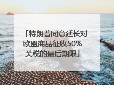 特朗普同意延长对欧盟商品征收50%关税的最后期限