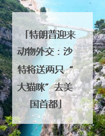 特朗普迎来动物外交：沙特将送两只“大猫咪”去美国首都