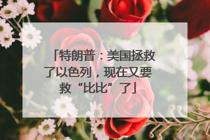 特朗普：美国拯救了以色列，现在又要救“比比”了