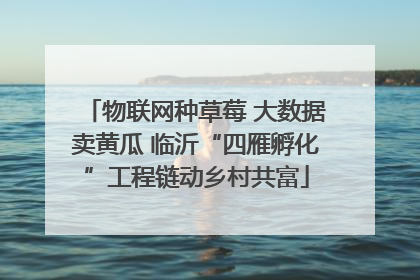 物联网种草莓 大数据卖黄瓜 临沂“四雁孵化”工程链动乡村共富