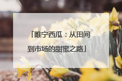 睢宁西瓜：从田间到市场的甜蜜之路
