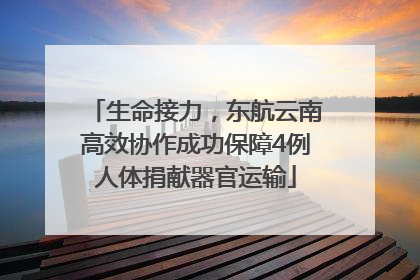生命接力，东航云南高效协作成功保障4例人体捐献器官运输