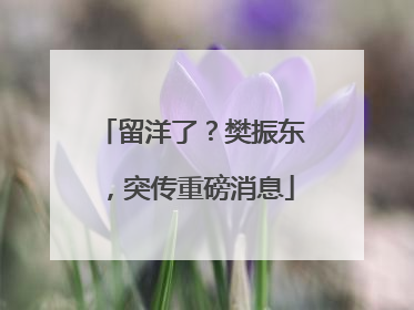 留洋了？樊振东，突传重磅消息