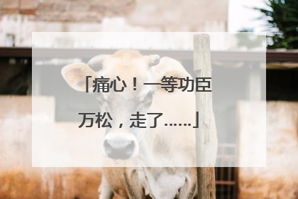痛心！一等功臣万松，走了……