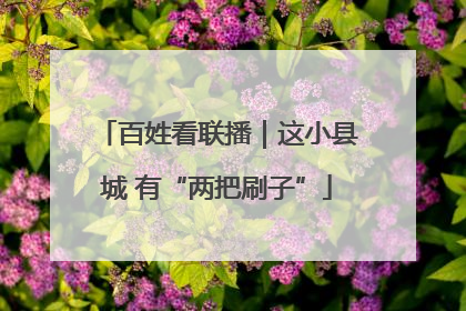 百姓看联播｜这小县城 有“两把刷子”