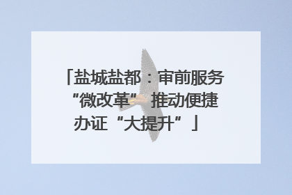 盐城盐都：审前服务“微改革” 推动便捷办证“大提升”