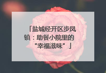 盐城经开区步凤镇：助餐小院里的“幸福滋味”