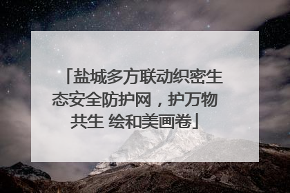 盐城多方联动织密生态安全防护网，护万物共生 绘和美画卷