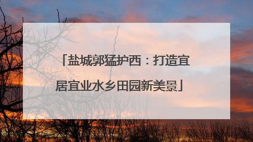 盐城郭猛护西：打造宜居宜业水乡田园新美景