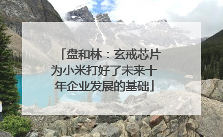 盘和林：玄戒芯片为小米打好了未来十年企业发展的基础