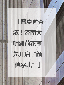 盛夏荷香浓！济南大明湖荷花率先开启“颜值暴击”