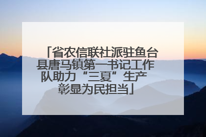 省农信联社派驻鱼台县唐马镇第一书记工作队助力“三夏”生产 彰显为民担当