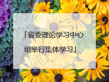 省委理论学习中心组举行集体学习