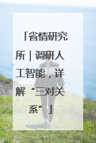 省情研究所｜调研人工智能，详解“三对关系”