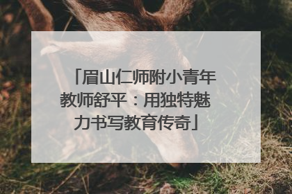 眉山仁师附小青年教师舒平：用独特魅力书写教育传奇