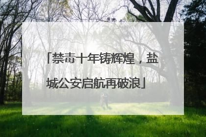 禁毒十年铸辉煌，盐城公安启航再破浪