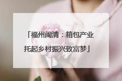 福州闽清：箱包产业托起乡村振兴致富梦