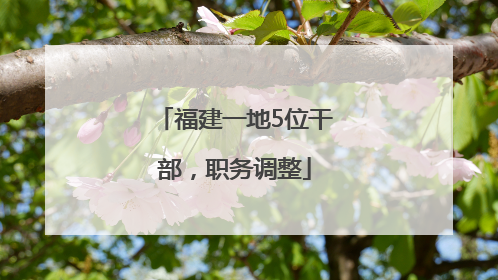 福建一地5位干部，职务调整