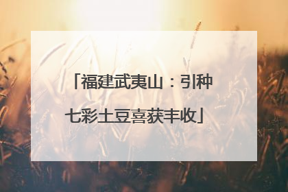 福建武夷山：引种七彩土豆喜获丰收