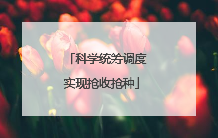 科学统筹调度实现抢收抢种