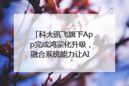 科大讯飞旗下App完成鸿蒙化升级，融合系统能力让AI服务触手可及