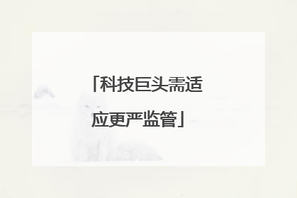 科技巨头需适应更严监管