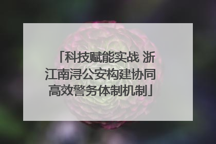 科技赋能实战 浙江南浔公安构建协同高效警务体制机制