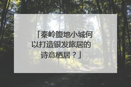 秦岭腹地小城何以打造银发旅居的诗意栖居？