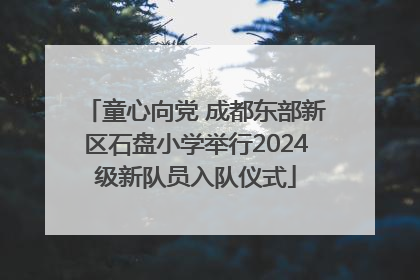 童心向党 成都东部新区石盘小学举行2024级新队员入队仪式