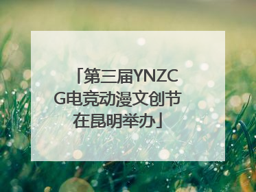 第三届YNZCG电竞动漫文创节在昆明举办