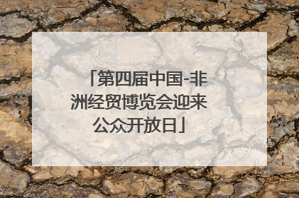 第四届中国-非洲经贸博览会迎来公众开放日