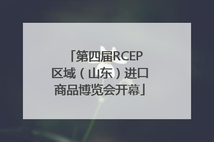第四届RCEP区域（山东）进口商品博览会开幕