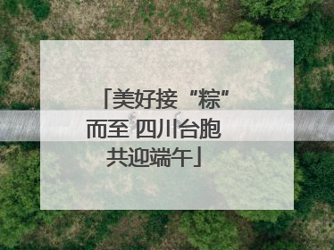 美好接“粽”而至 四川台胞共迎端午