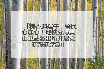 粽香迎端午，警民心连心！地铁分局灵山卫站派出所开展党建联建活动