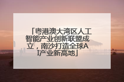 粤港澳大湾区人工智能产业创新联盟成立，南沙打造全球AI产业新高地