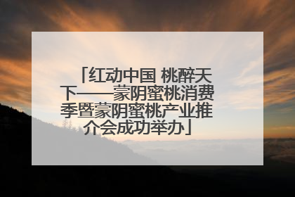 红动中国 桃醉天下——蒙阴蜜桃消费季暨蒙阴蜜桃产业推介会成功举办
