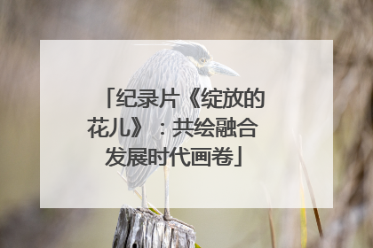 纪录片《绽放的花儿》：共绘融合发展时代画卷