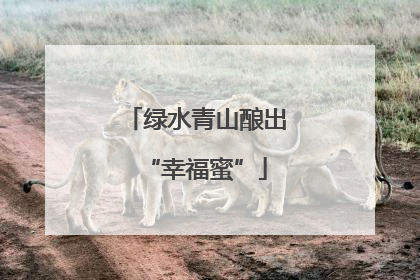 绿水青山酿出“幸福蜜”