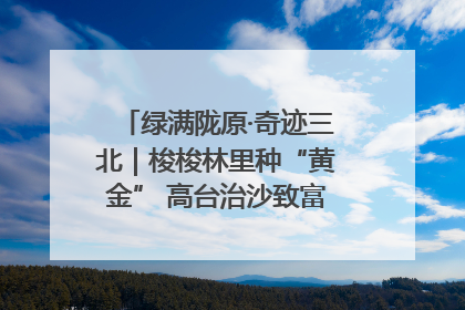 绿满陇原·奇迹三北｜梭梭林里种“黄金” 高台治沙致富很“从容”