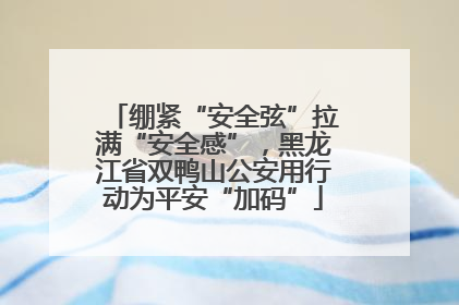 绷紧“安全弦”拉满“安全感”，黑龙江省双鸭山公安用行动为平安“加码”